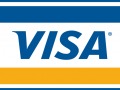 carta di credito visa